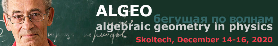 algeo13
