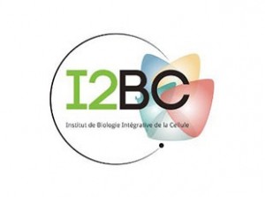 logo-i2bc